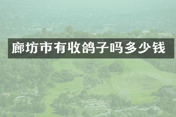 廊坊市有收鸽子吗多少钱