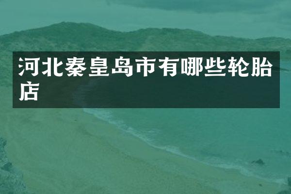 河北秦皇岛市有哪些轮胎店