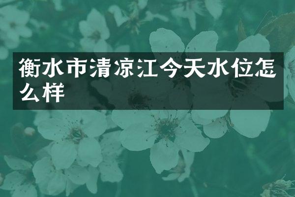 衡水市清凉江今天水位怎么样