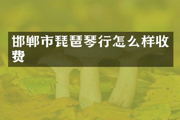 邯郸市琵琶琴行怎么样收费