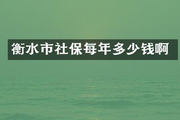衡水市社保每年多少钱啊