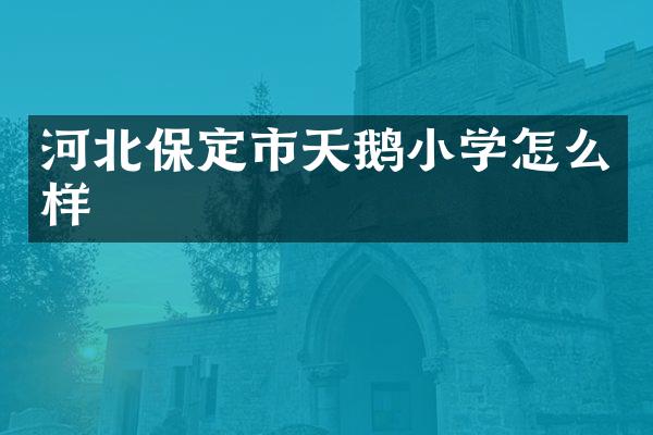 河北保定市天鹅小学怎么样