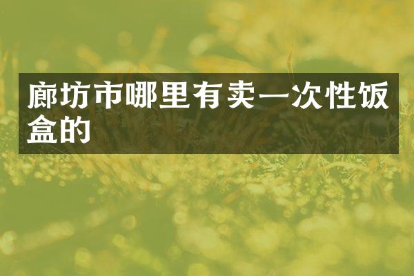廊坊市哪里有卖一次性饭盒的