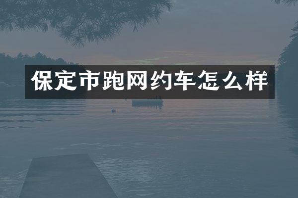 保定市跑网约车怎么样