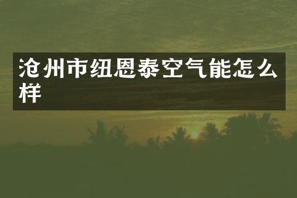 沧州市纽恩泰空气能怎么样