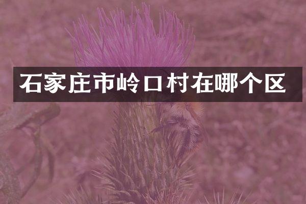石家庄市岭口村在哪个区