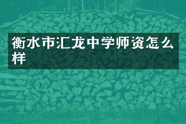 衡水市汇龙中学师资怎么样
