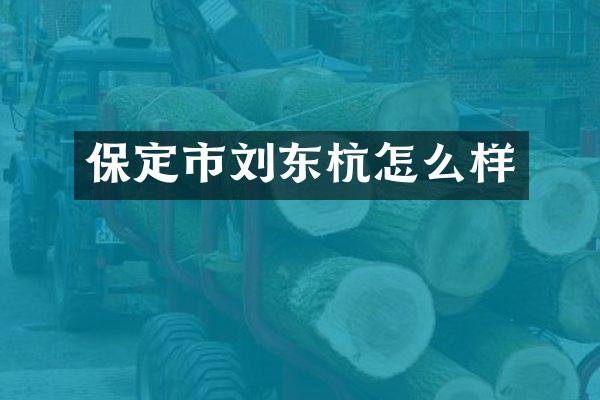 保定市刘东杭怎么样