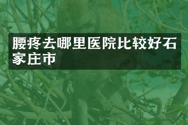 腰疼去哪里医院比较好石家庄市