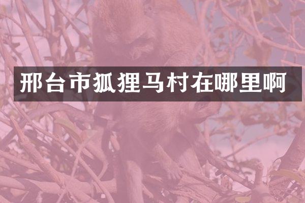 邢台市狐狸马村在哪里啊