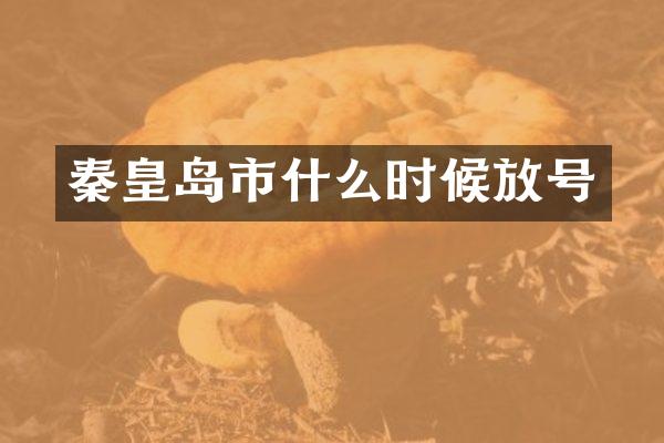 秦皇岛市什么时候放号