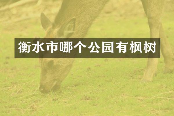 衡水市哪个公园有枫树