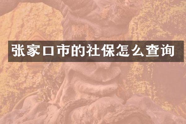 张家口市的社保怎么查询