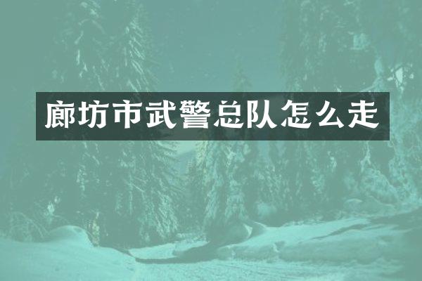 廊坊市武警总队怎么走