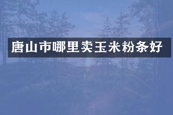 唐山市哪里卖玉米粉条好