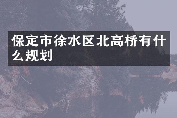 保定市徐水区北高桥有什么规划