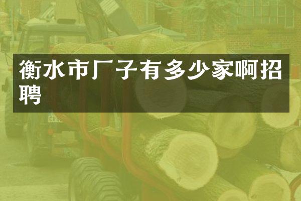 衡水市厂子有多少家啊招聘