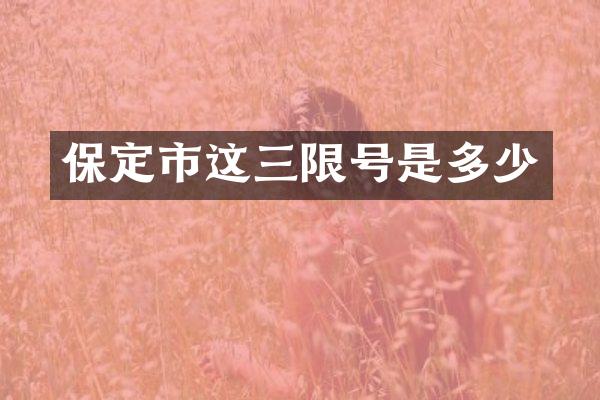 保定市这三限号是多少