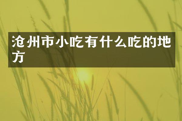 沧州市小吃有什么吃的地方