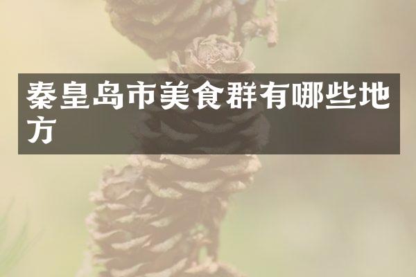 秦皇岛市美食群有哪些地方