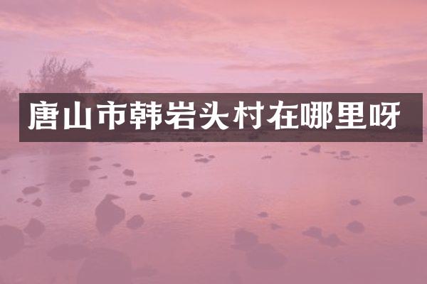 唐山市韩岩头村在哪里呀