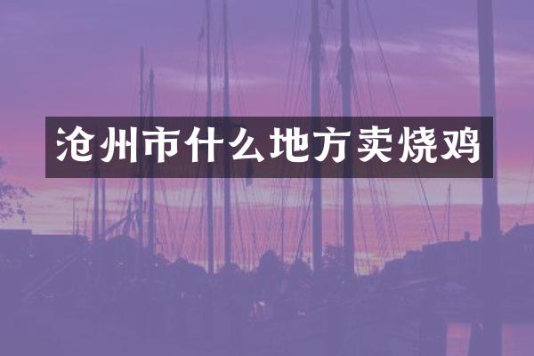 沧州市什么地方卖烧鸡