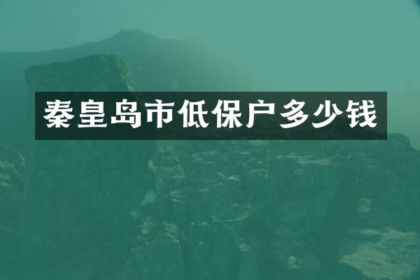 秦皇岛市低保户多少钱