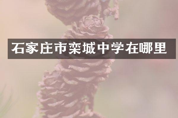 石家庄市栾城中学在哪里