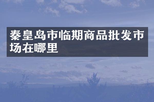 秦皇岛市临期商品批发市场在哪里