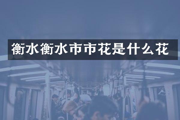 衡水衡水市市花是什么花