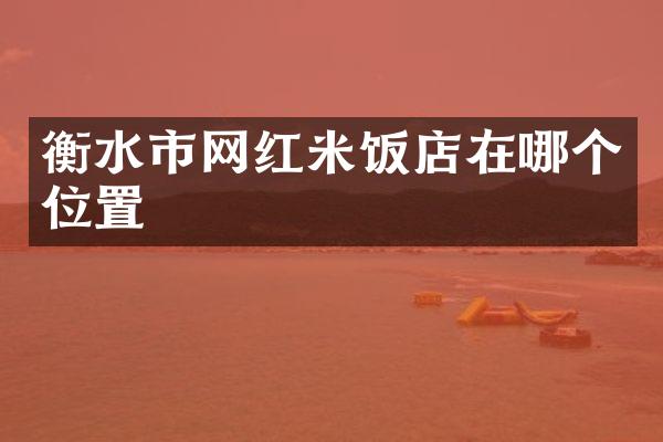 衡水市网红米饭店在哪个位置