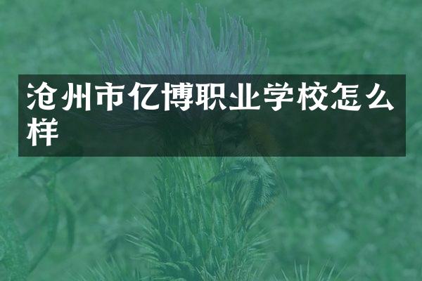 沧州市亿博职业学校怎么样