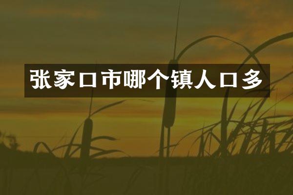 张家口市哪个镇人口多