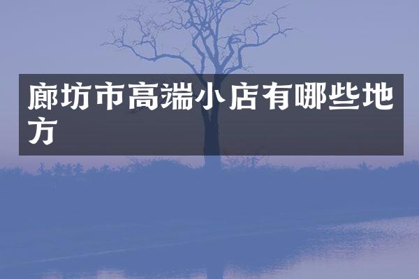 廊坊市高端小店有哪些地方