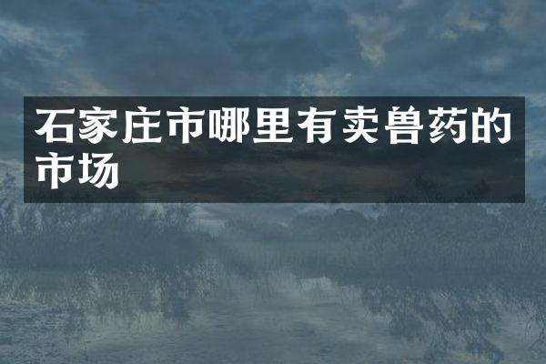 石家庄市哪里有卖兽药的市场