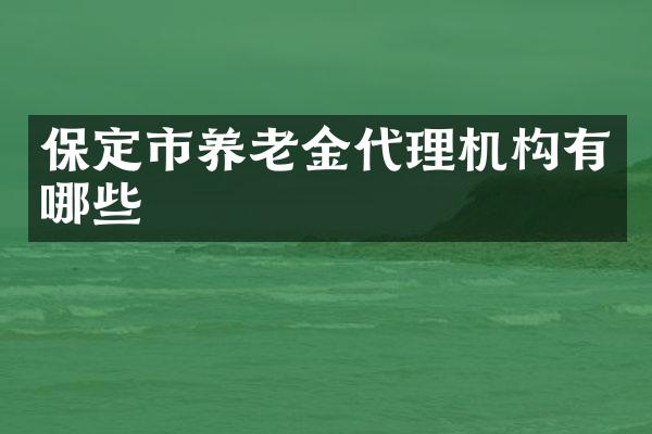 保定市养老金代理机构有哪些