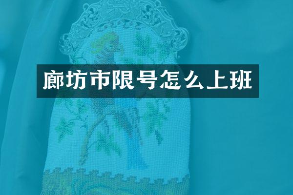 廊坊市限号怎么上班