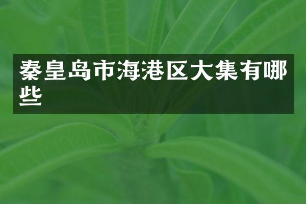 秦皇岛市海港区大集有哪些