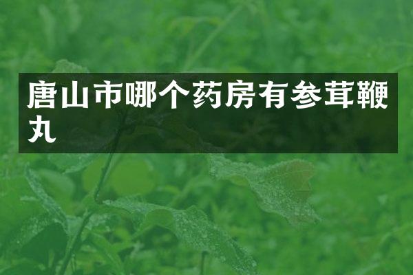 唐山市哪个药房有参茸鞭丸