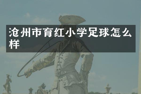 沧州市育红小学足球怎么样