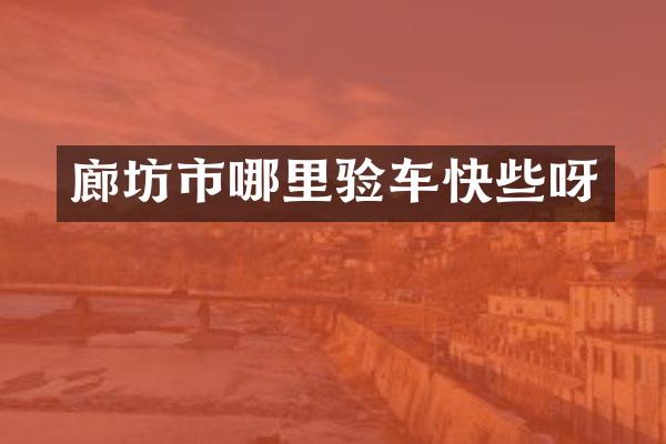廊坊市哪里验车快些呀