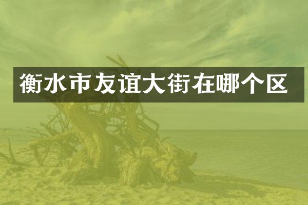 衡水市友谊大街在哪个区