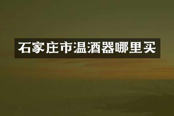 石家庄市温酒器哪里买
