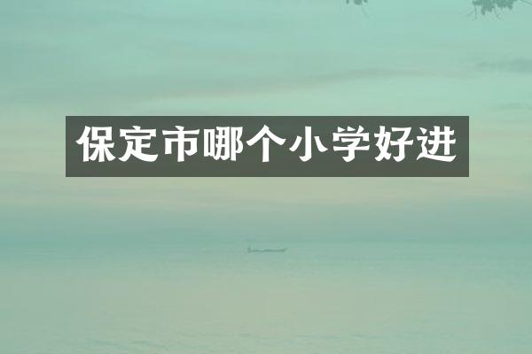 保定市哪个小学好进