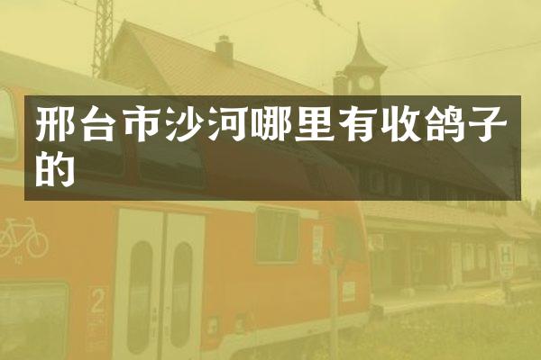 邢台市沙河哪里有收鸽子的