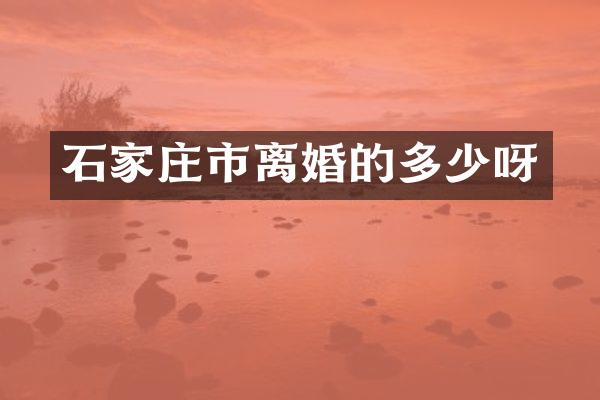 石家庄市离婚的多少呀