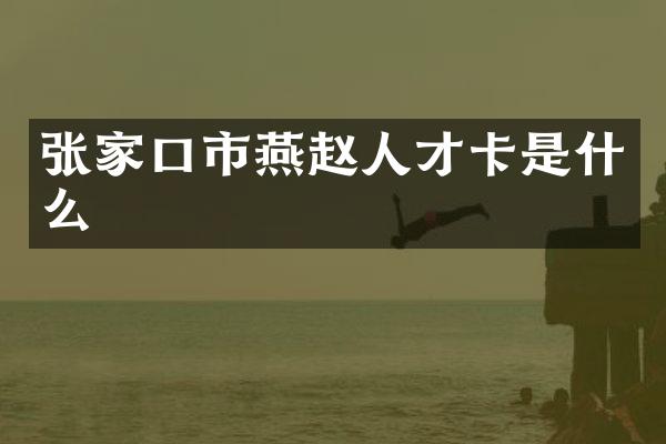 张家口市燕赵人才卡是什么