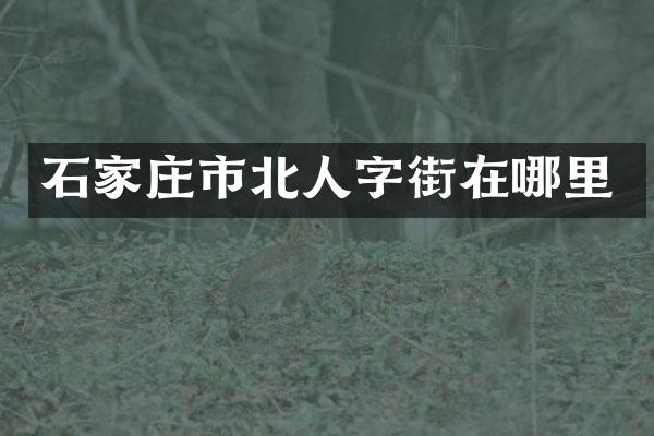 石家庄市北人字街在哪里