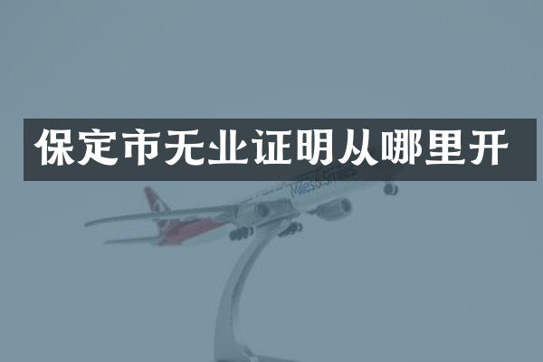 保定市无业证明从哪里开