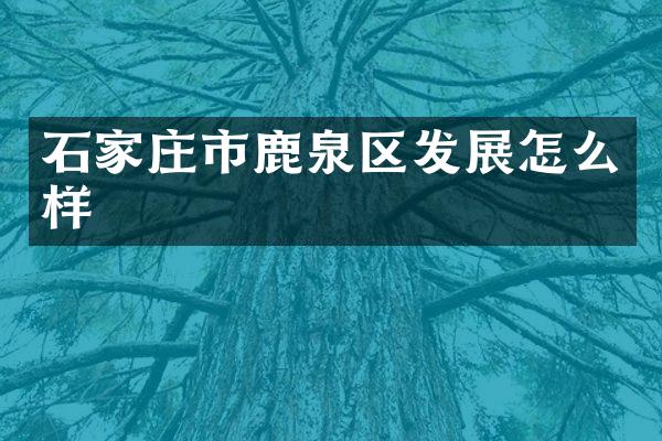石家庄市鹿泉区发展怎么样